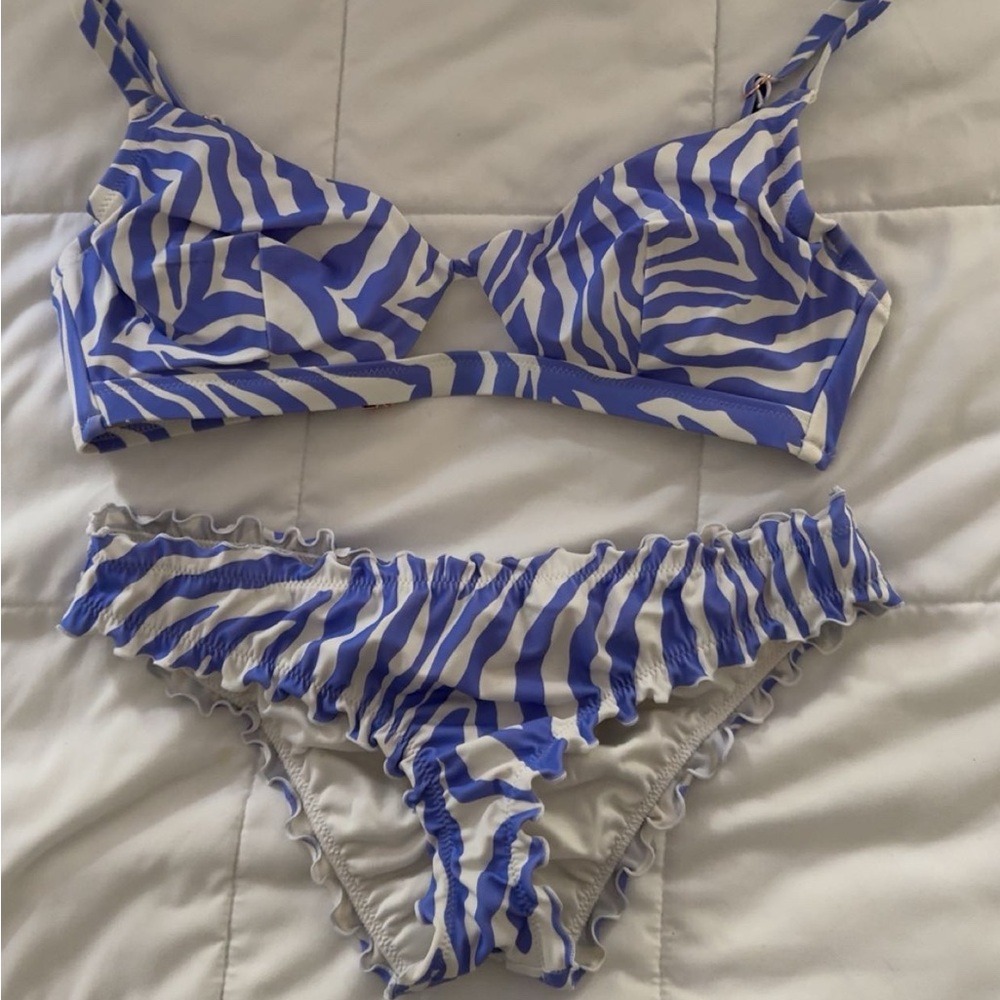 Blue and White Zebra Print Bikini Set